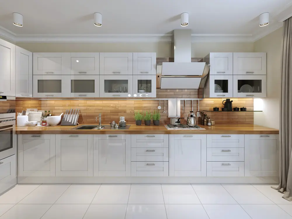 Contemporary Kitchen Design